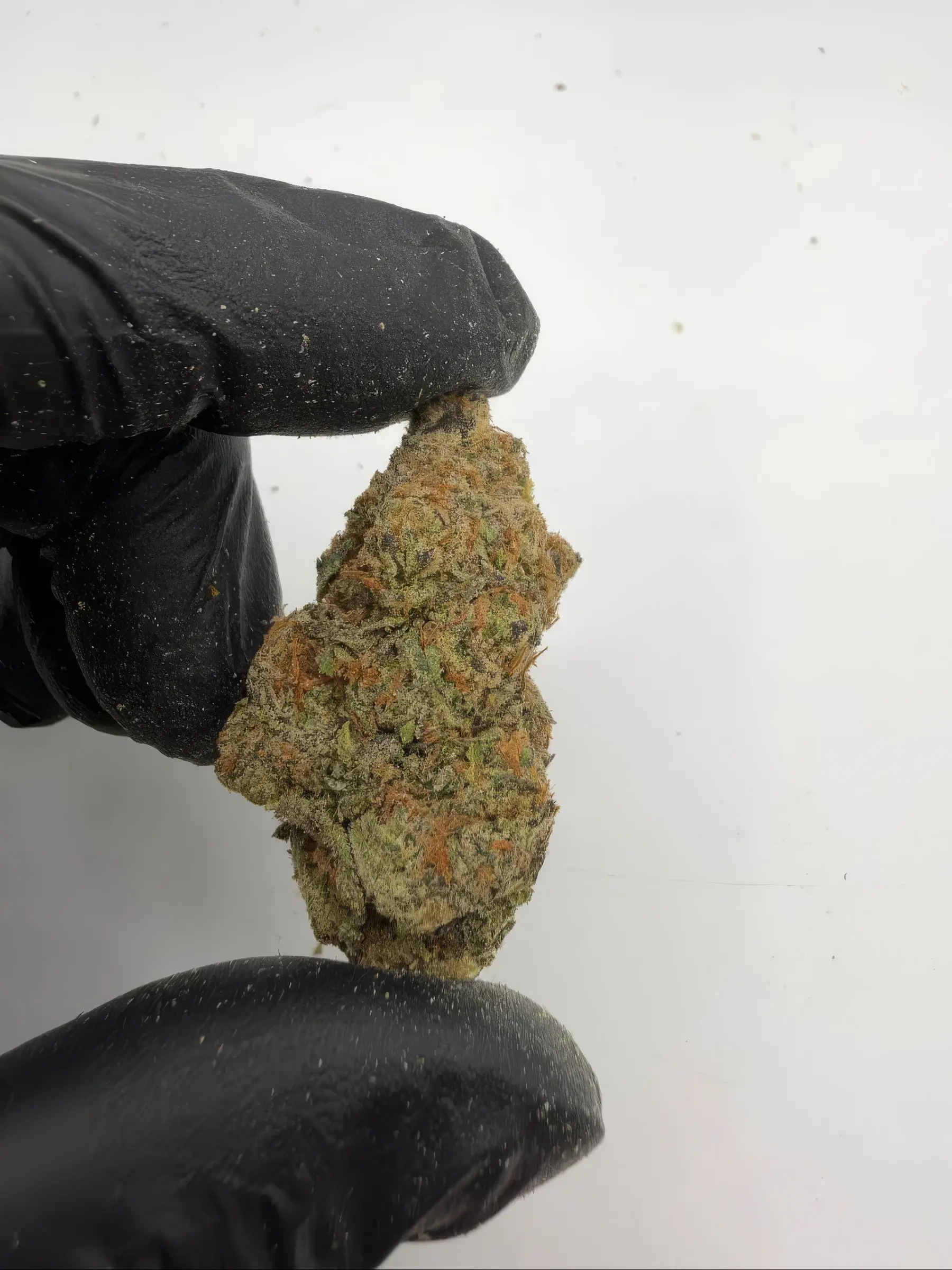 Pink candy LCG 🍭